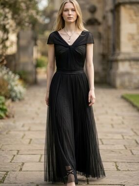 Tadashi Shoji Black Pleated Sheer Maxi Dress  Size 4